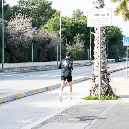 Tre Passi House Apartment *